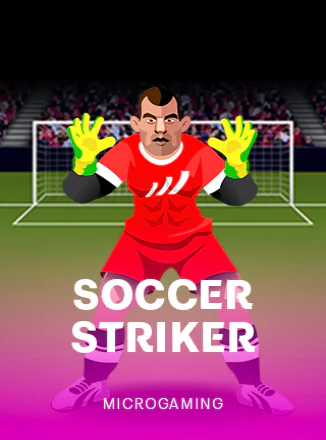 Soccer Striker