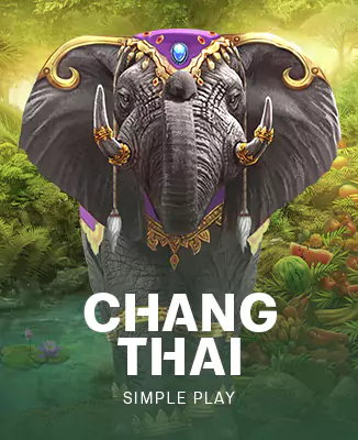 Chang Thai